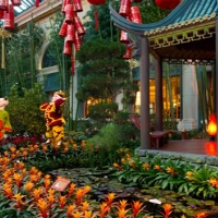 bellagio-conservatory-gardens-and-arboretum-in-nv