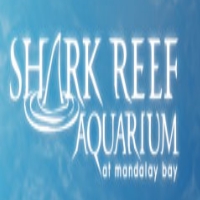 shark-reef-aquarium-hotel-parties-nv